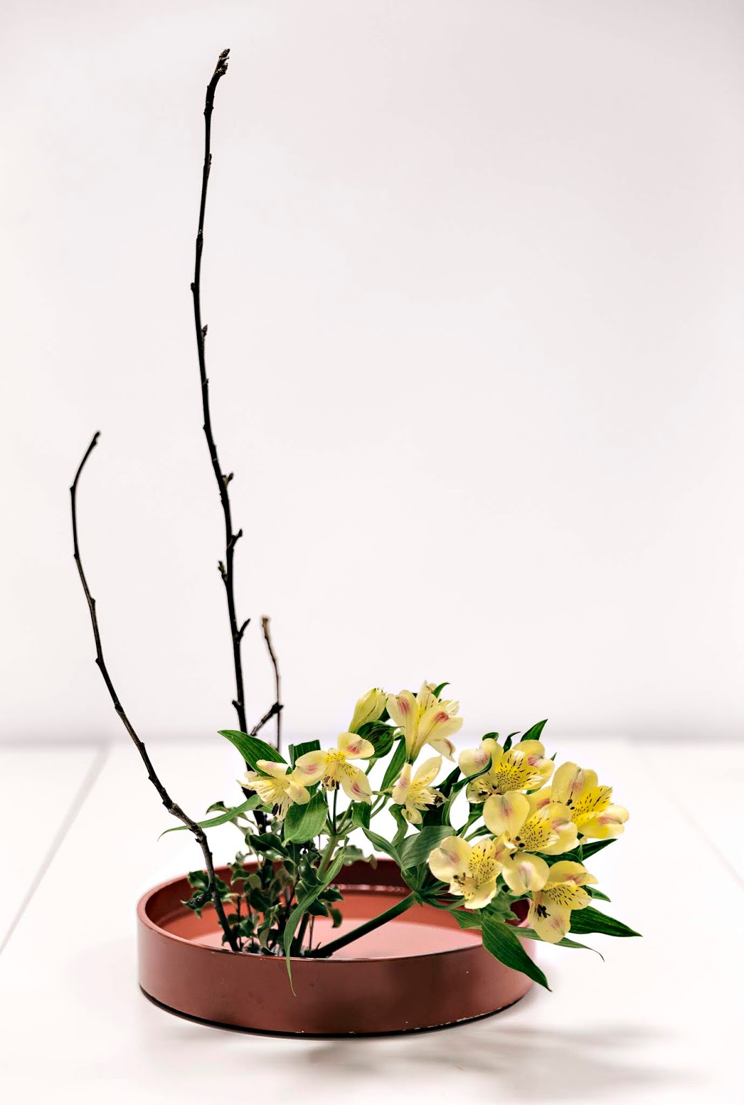 Ikebana, kukka-asetelma, kukat, flower, arrangement, kurssi, Sogetsu, valokuvaaja, visualisti, Frida Steiner, visualaddict, visualaddictfrida