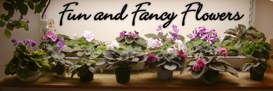 Fun and Fancy Flowers