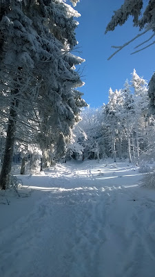 w kierunku Zygmuntówki