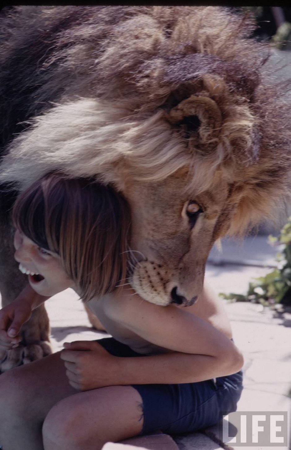 Incredible Photographs Capture Teenager Melanie Griffith Incredible Photographs Capture Teenager Melanie Griffith
