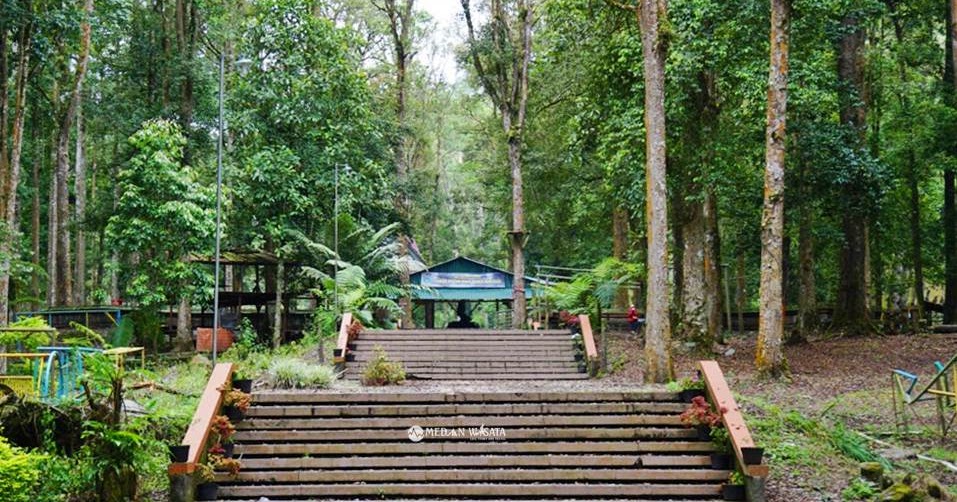 Tahura Bukit Barisan Potensi Wisata Sumatera Utara yang