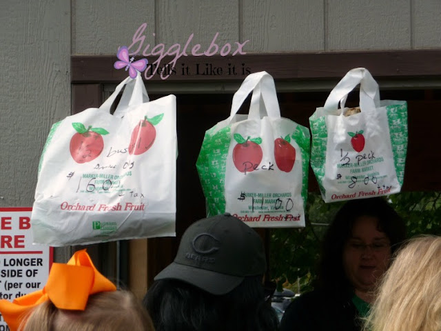 Fall time family fun picking apples at Marker-Miller Orchards in Winchester VA,