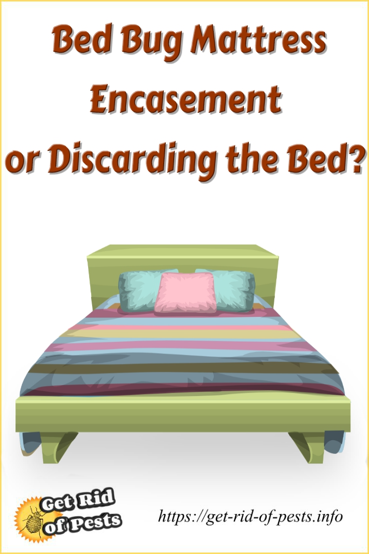 Get Rid of Pests Bed Bug Mattress Encasement or Discarding the Bed?