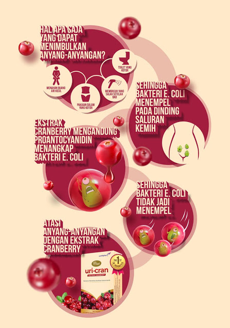 infografis tentang penyebab dan cara mengatasi anyang-anyangan