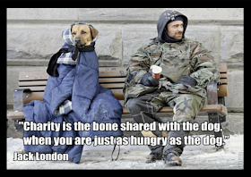  animal, dog, cat, pet, animal, inspiring quotes for animal lovers, petsnmore.org, charity