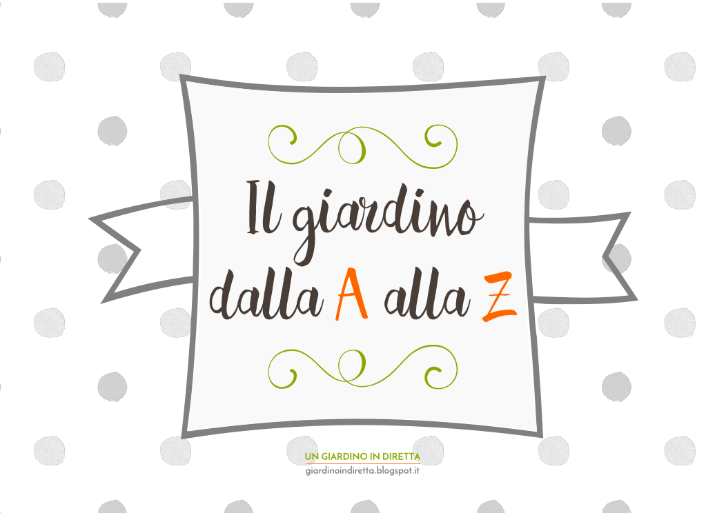Nomi Dei Fiori Dalla A Alla Z - il giardino dalla a alla z il catalogo delle piante di un Nomi Dei Fiori Dalla A Alla Z - il giardino dalla a alla z il catalogo delle piante di un