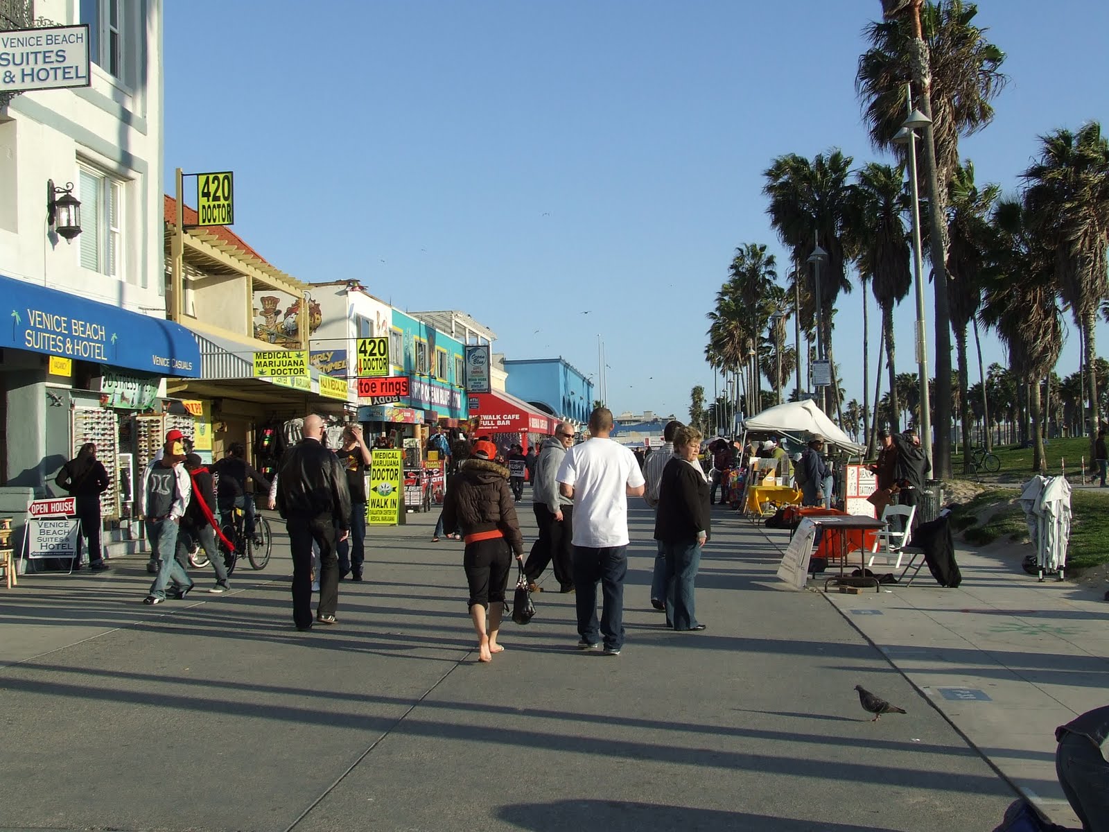 Destination Terre 48 heures à Venice Beach, Los Angeles
