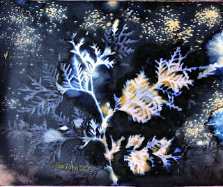 Wet cyanotype_Sue Reno_Image 563