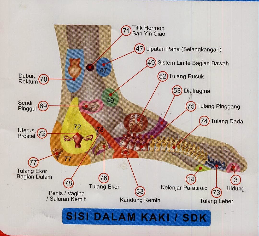 PENGOBATAN PATAH TULANG GAMBAR TITIK REFLEXY KAKI BAGIAN DALAM