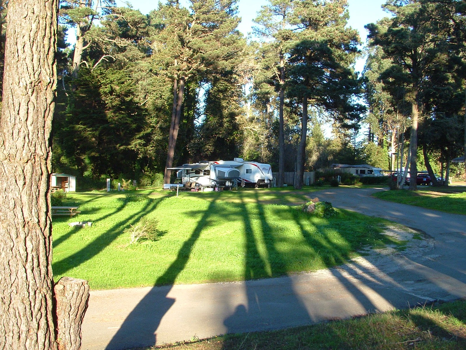 Hidden Pines RV Campground Fort Bragg Fort Bragg RV Park Campers Enjoy