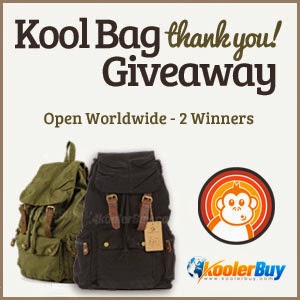 Kool Bag Thank You! Giveaway image