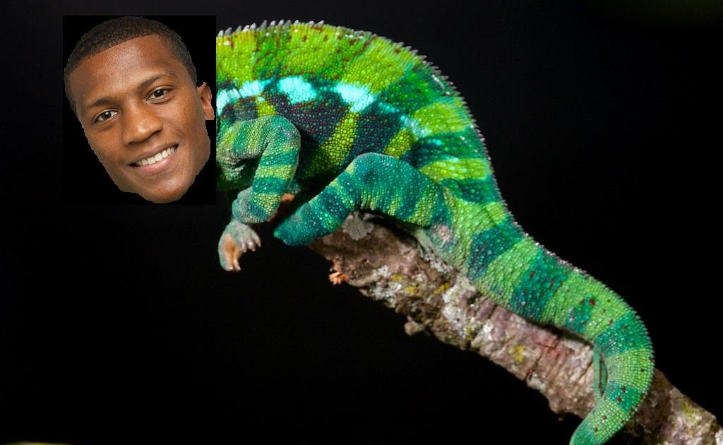 человек хамелеон.