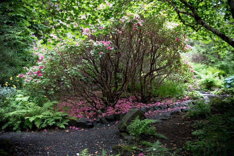 Escocia. Isla de Skye