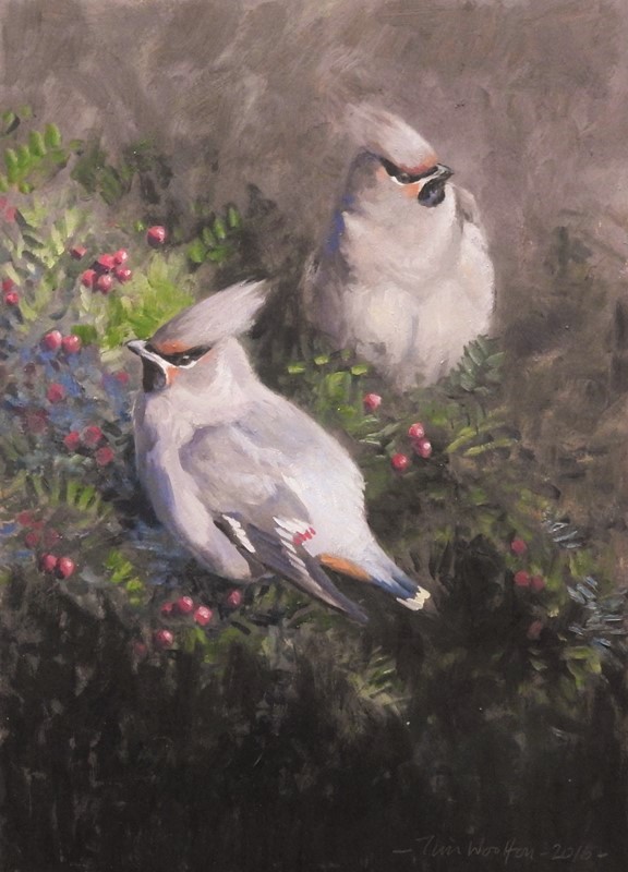 Tim Wootton Wildlife Art