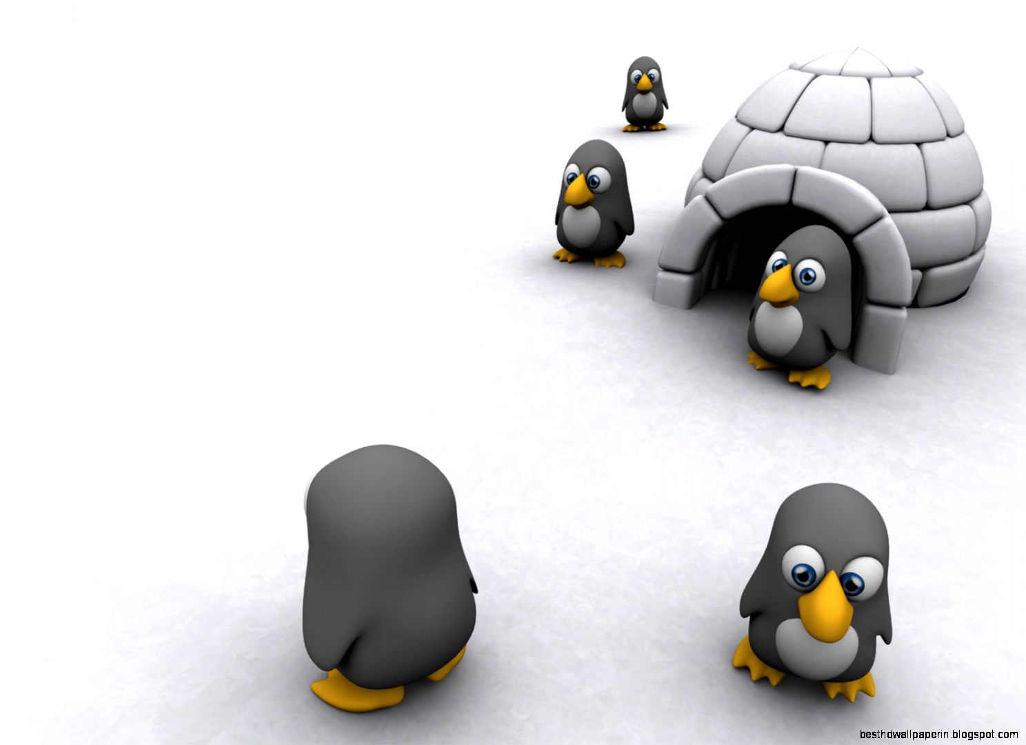 Cool Penguins Desktops