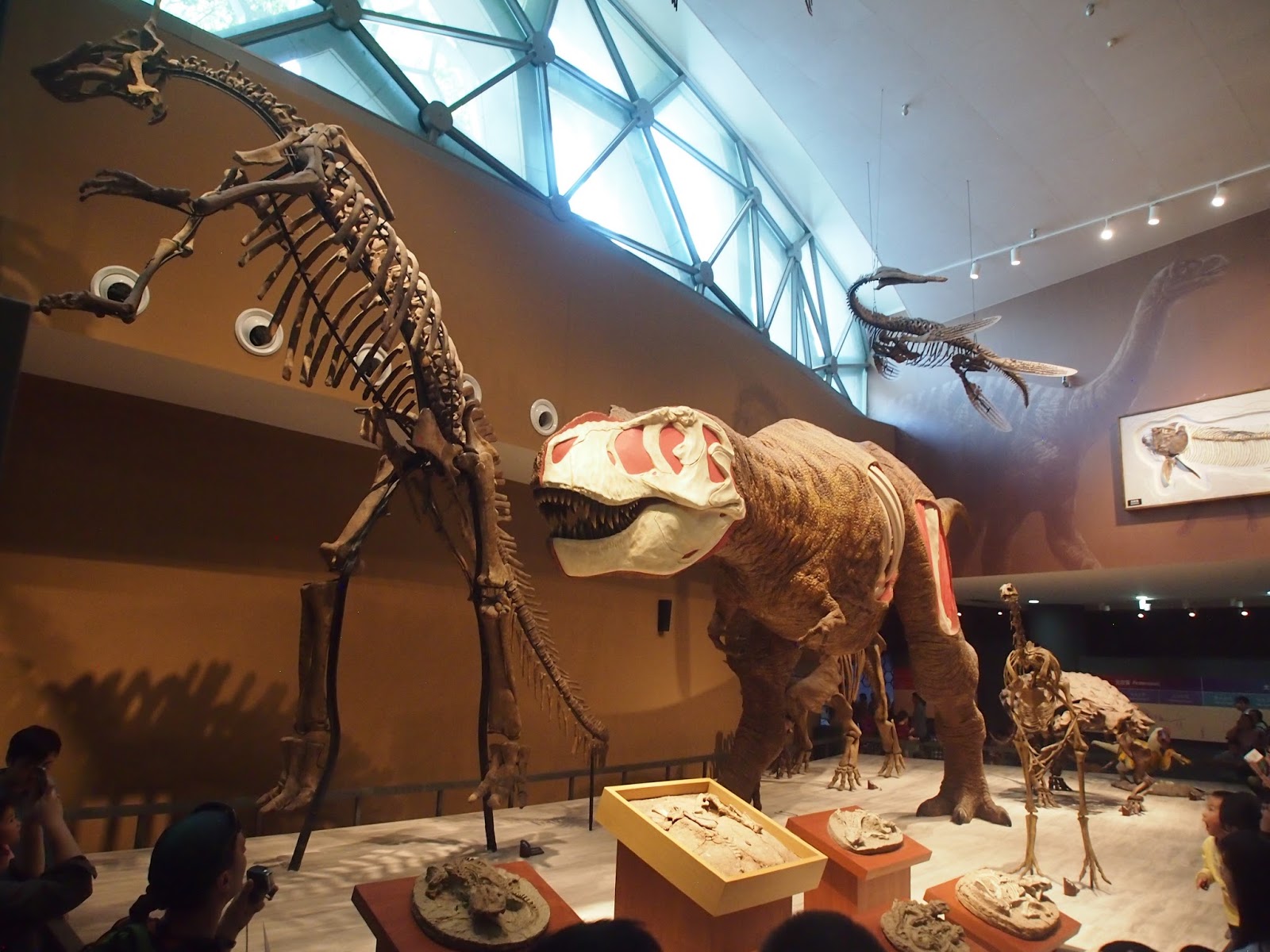 Что такое палеонтологический музей