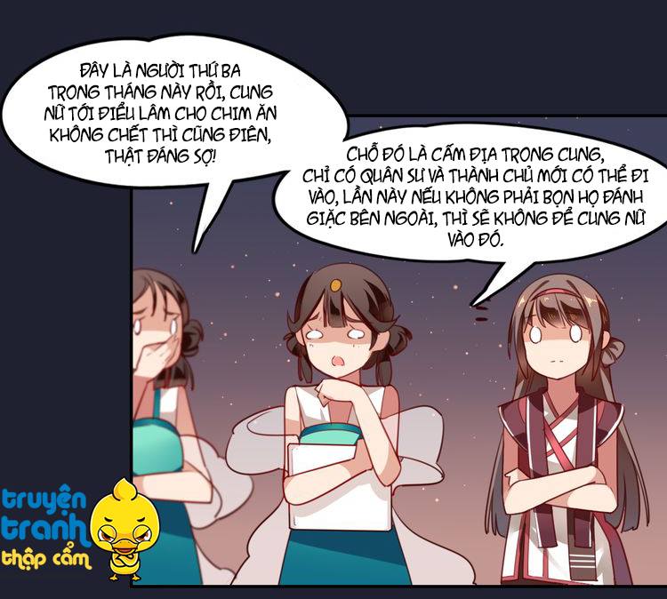 Cẩm Lý Quy Chap 1 - Next Chap 2