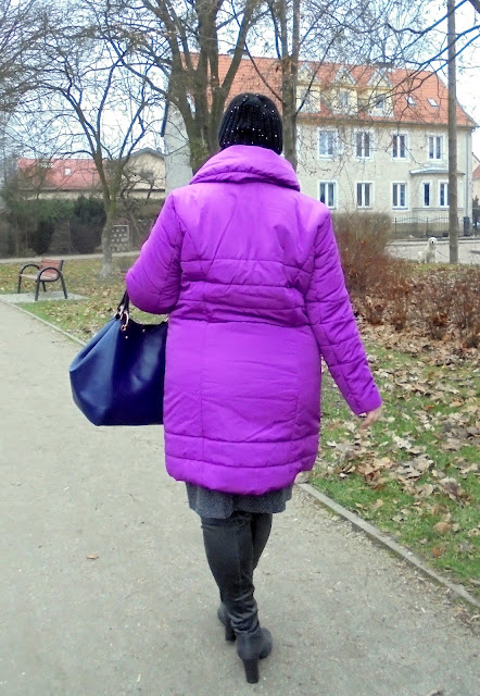 viol5.JPG