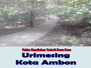 Fakta Memilukan Kasus Dana Desa Negeri Urimesing 4 DD%2Boke%2B2