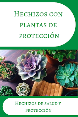 Hechizos con plantas de protección