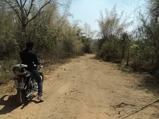 Hiker rides through the Bilikal betta elephant forest