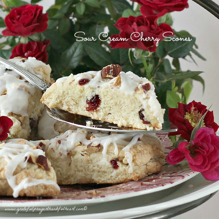 Sour Cream Cherry Scones Grateful Prayer Thankful Heart