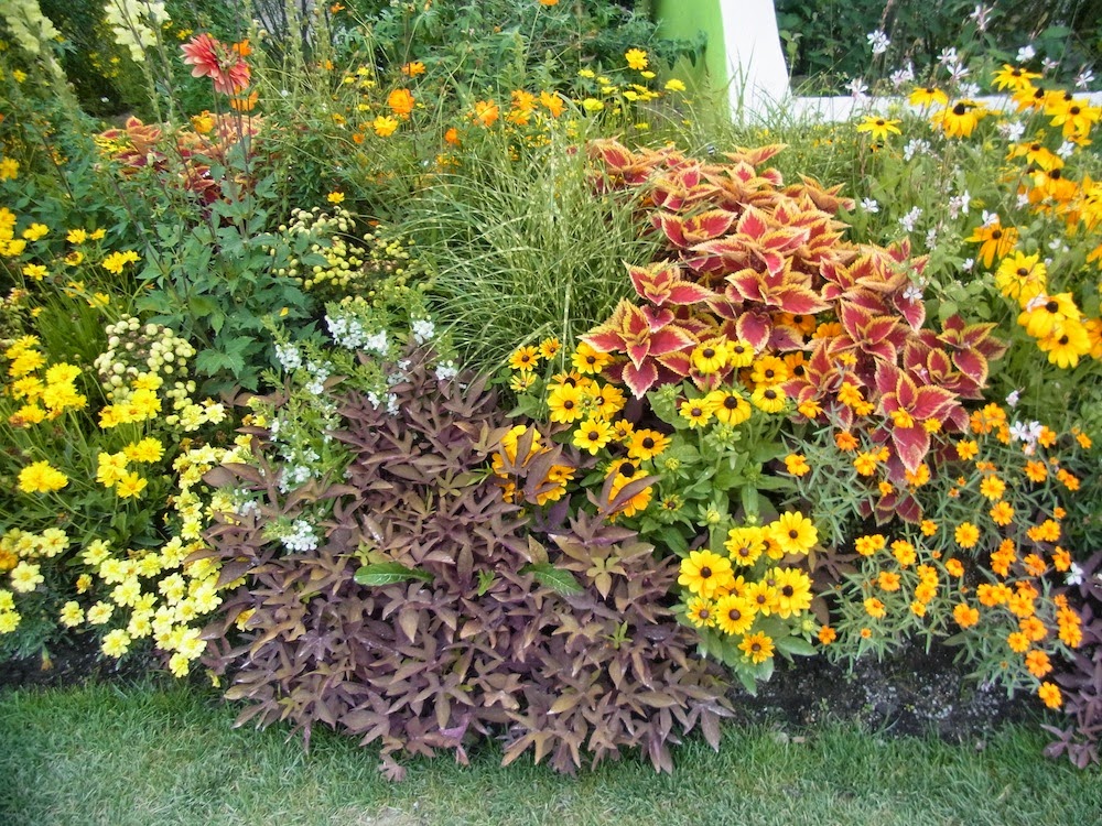 Besuch auf der Landesgartenschau