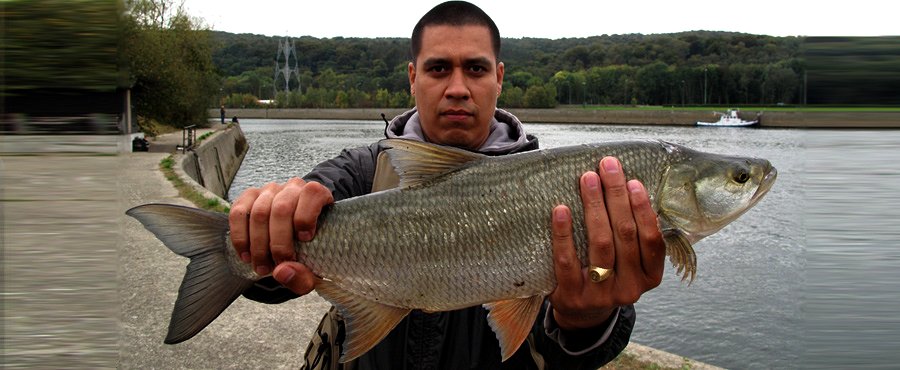 FisherKingz: Pêche de l'Aspe en Meuse Part 2