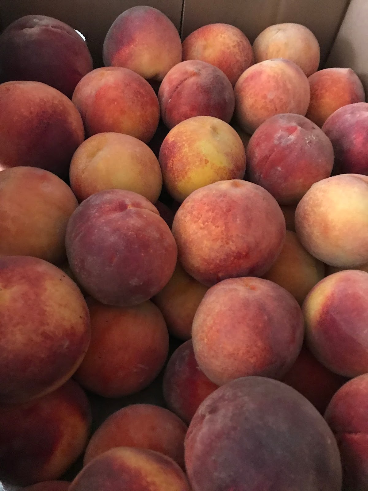 It's A Crazy World Peaches, baby!