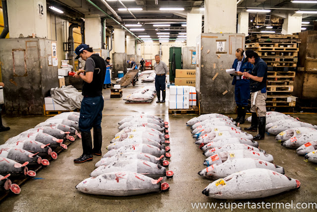 Tsukiji Fish Market Tuna Auction