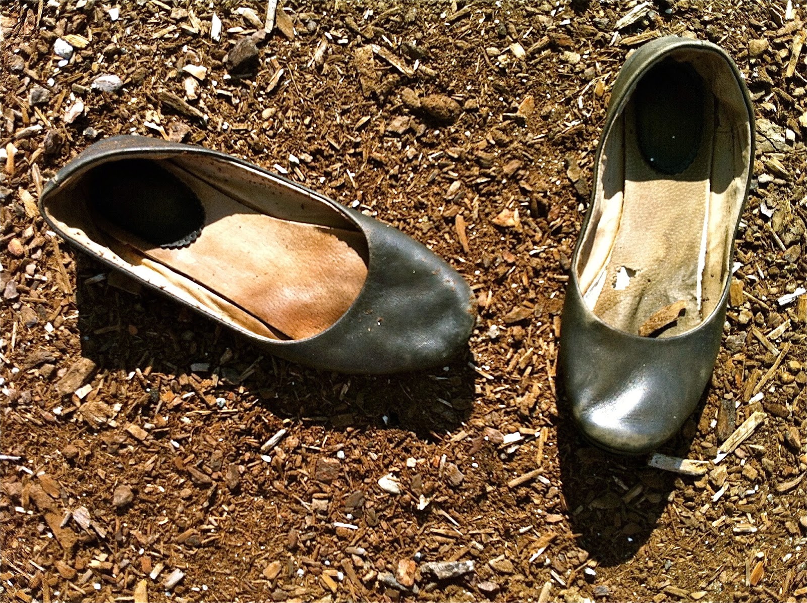 pORTcITYdAILYpHOTO: Lost Shoes