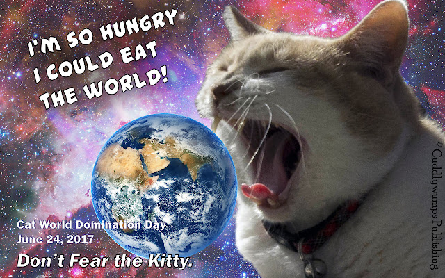 Real Cat Webster eats the world