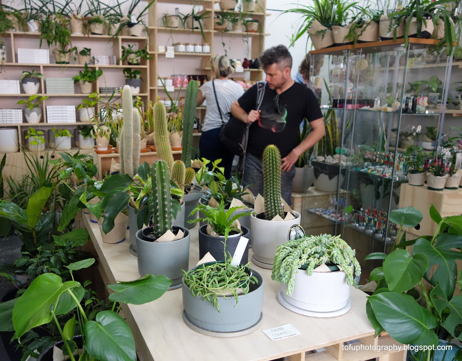 Tofu Photography A cacti and succulent shop in North Fitzroy, Melbourne