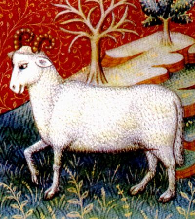 Kuja-Aries, The Ram