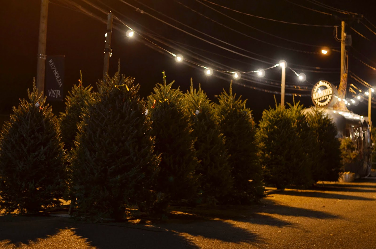 I love the atmosphere of the Christmas tree patch. It's the perfect