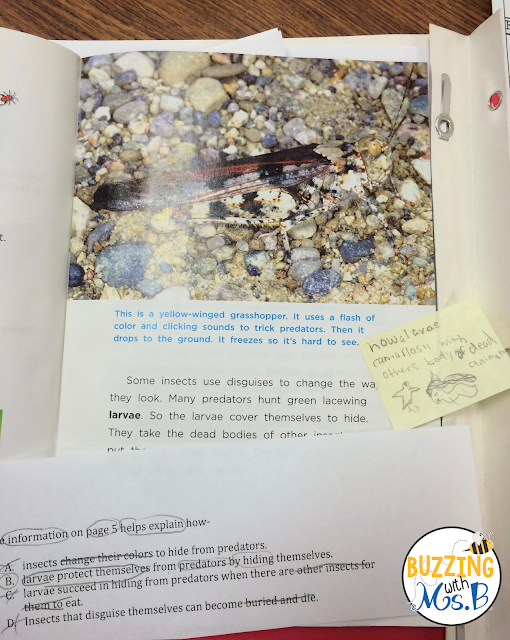 Looking for tips on how to get your kids to apply test-taking strategies? Even better, struggling to fit in guided reading when you're barely getting through your day? Here's my #1 tip on bridging guided reading to test prep in upper elementary. This post explains how to use a purpose question to have students apply their reading comprehension strategy that you're teaching them in guided reading! Don't give up on guided reading in test prep season before you read this post! 