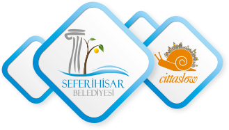 Contest Archives Donquichotte