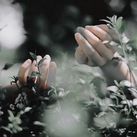 28 días con sam, literatura juvenil