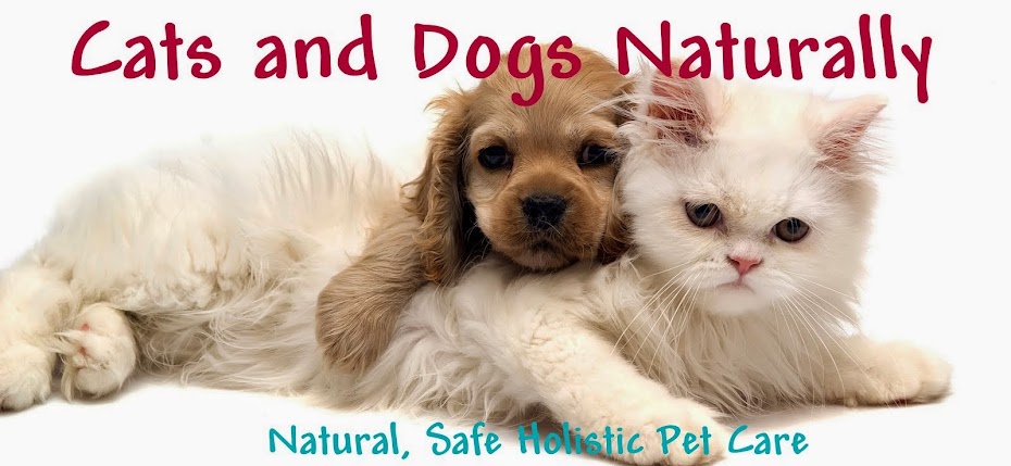 Cats and Dogs Naturally