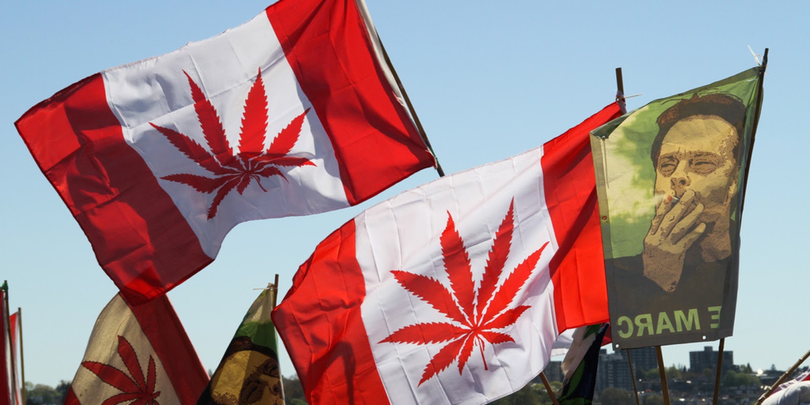 Конопля в канаде лозунги о наркотиках