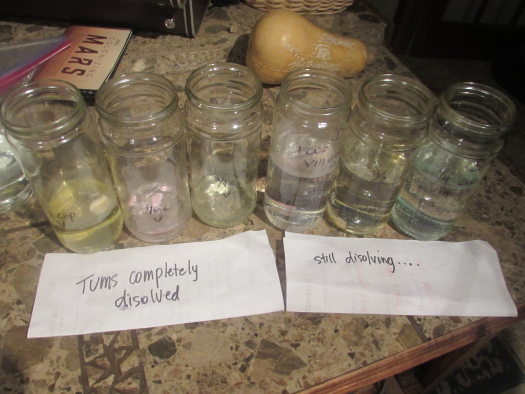 Fleur de Lis Homeschool Blog Apologia Exploring Creation With Physical