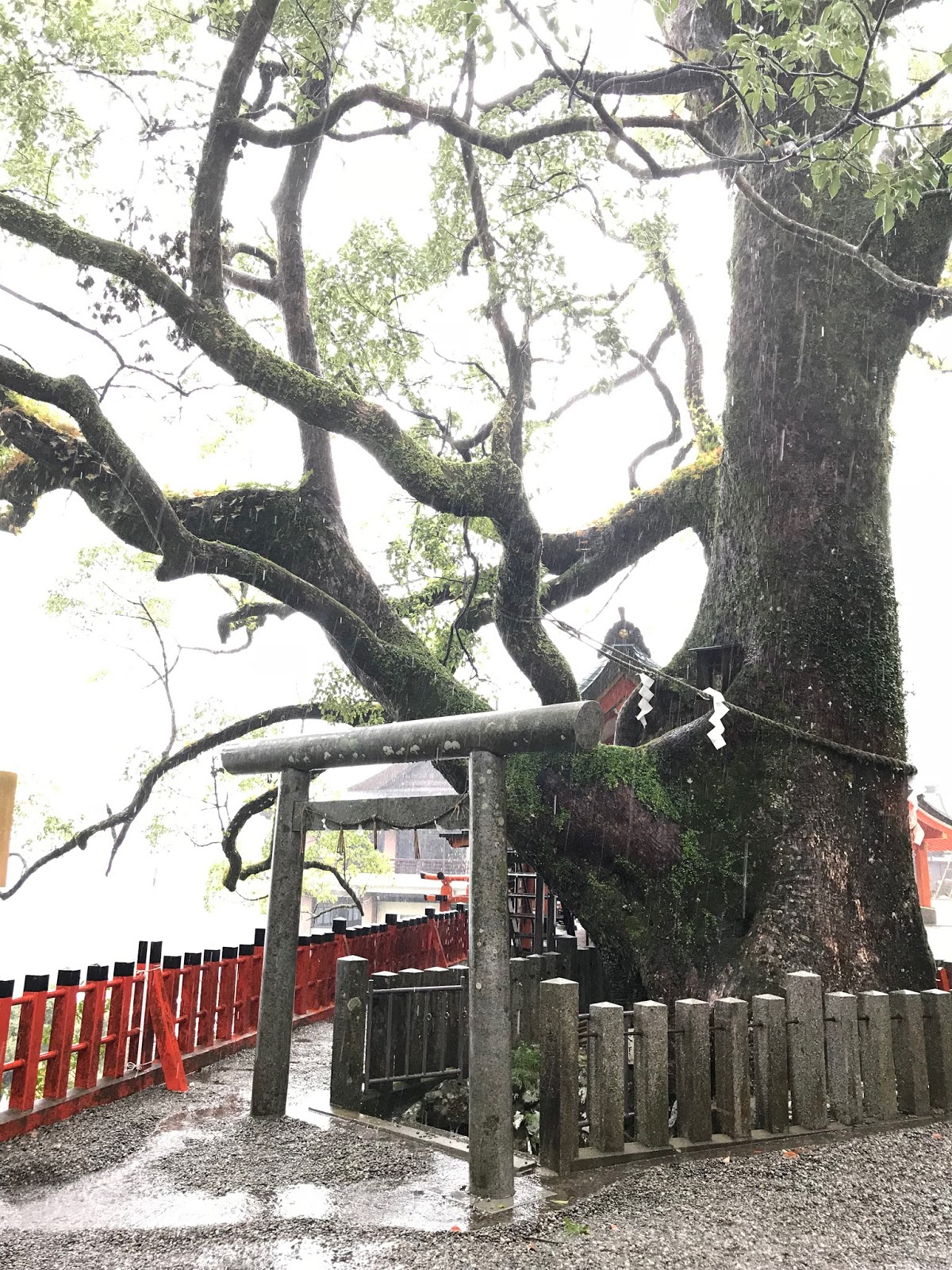 混搭旅遊 和歌山縣 熊野那智大社 八咫烏的授与品真是太可愛了