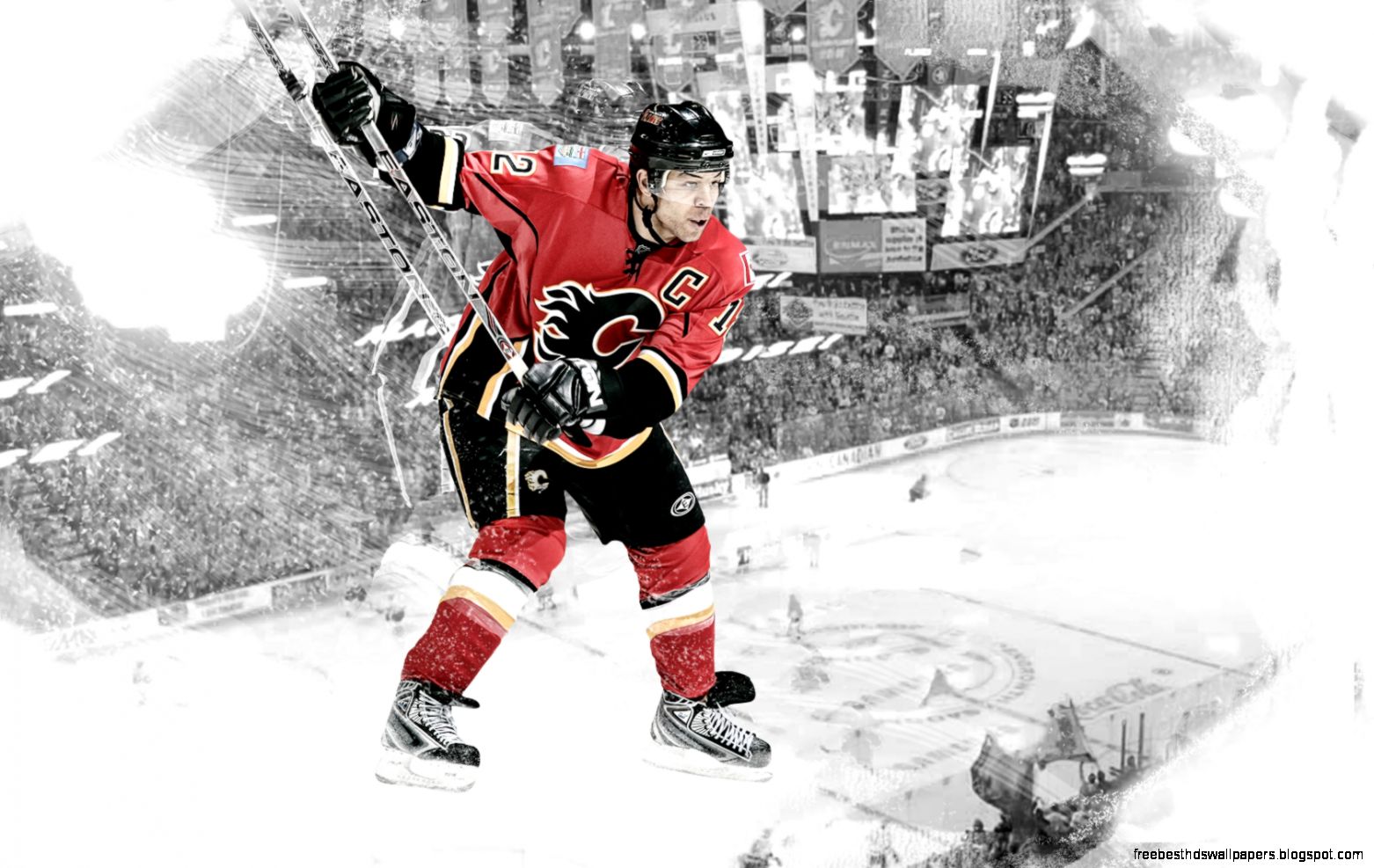 Jarome Iginla Calgary Flames  Kate Harness