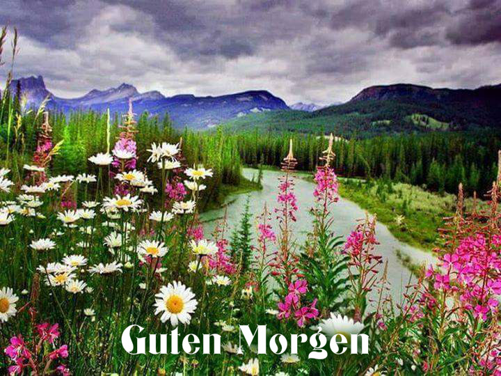 Guten Morgen Bilder Die Schonsten Spruche