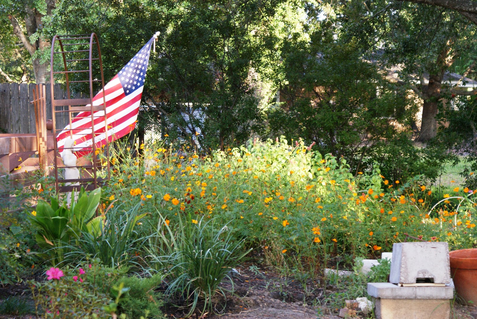 The Septic System Landscaping Dilema