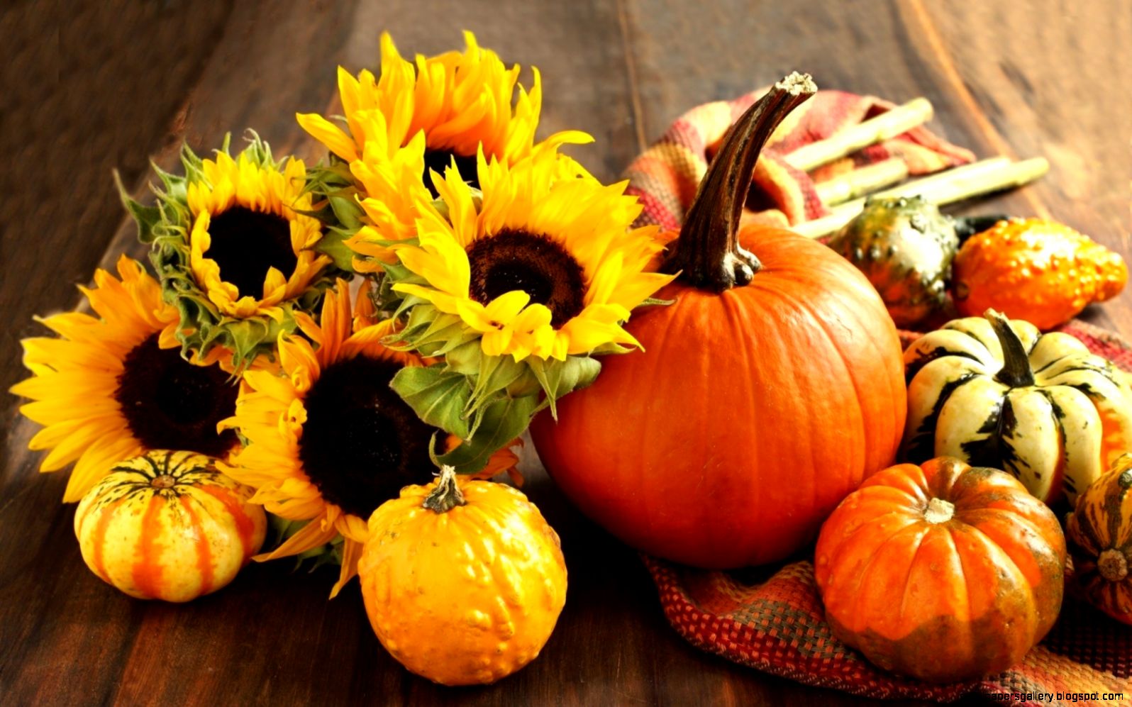 Autumn Pumpkin Wallpaper Widescreen