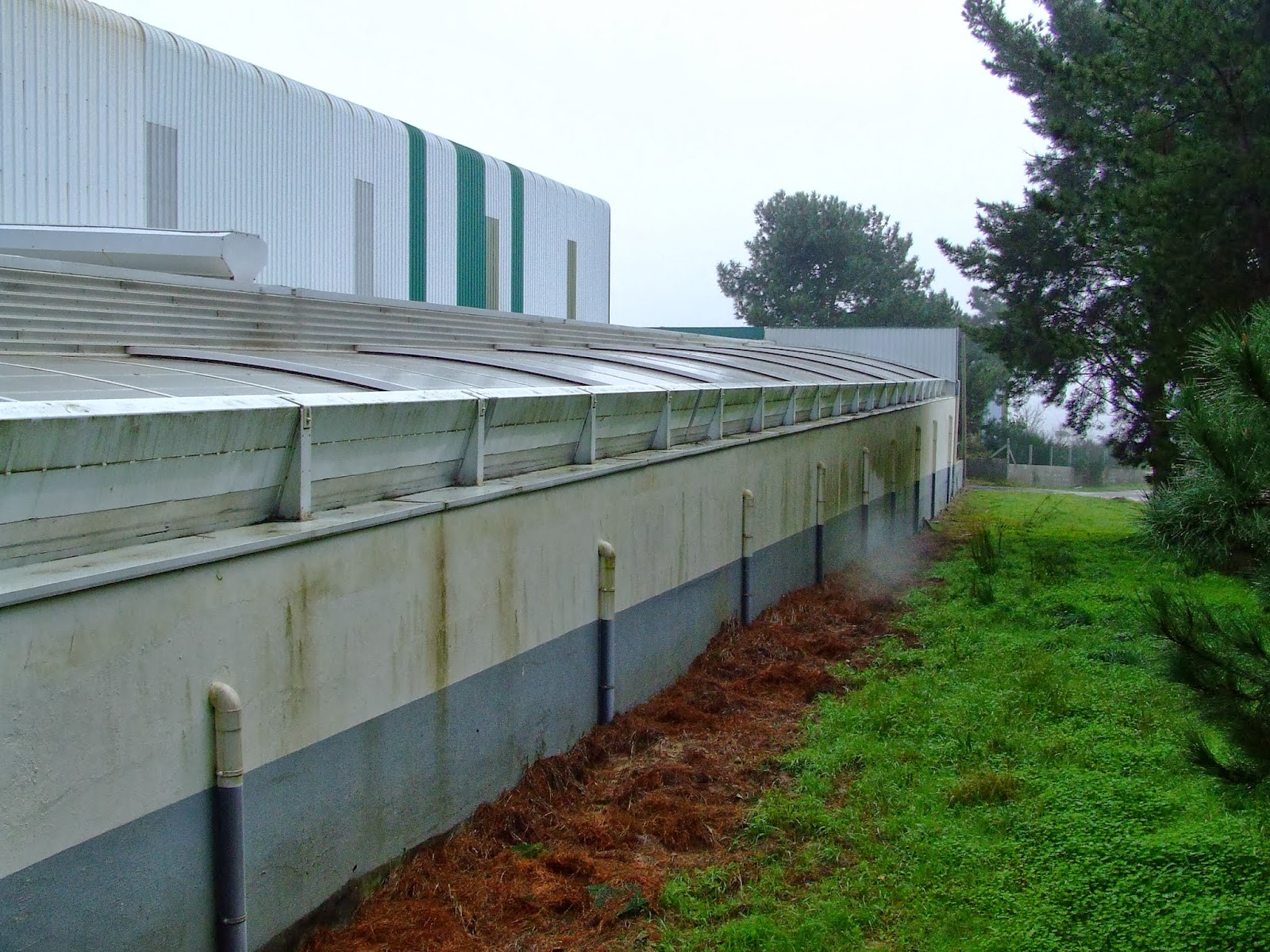 Grupo Opinión A Guarda: enero 2014