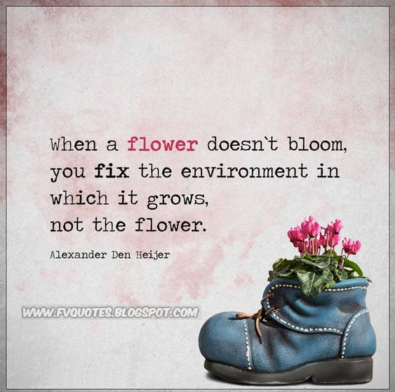 When a flower doesn't bloom, you fix the environment in which it grows, not the flower.