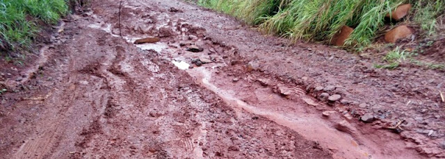 Roncador: Moradores reclamam de situação de estrada rural praticamente intransitável