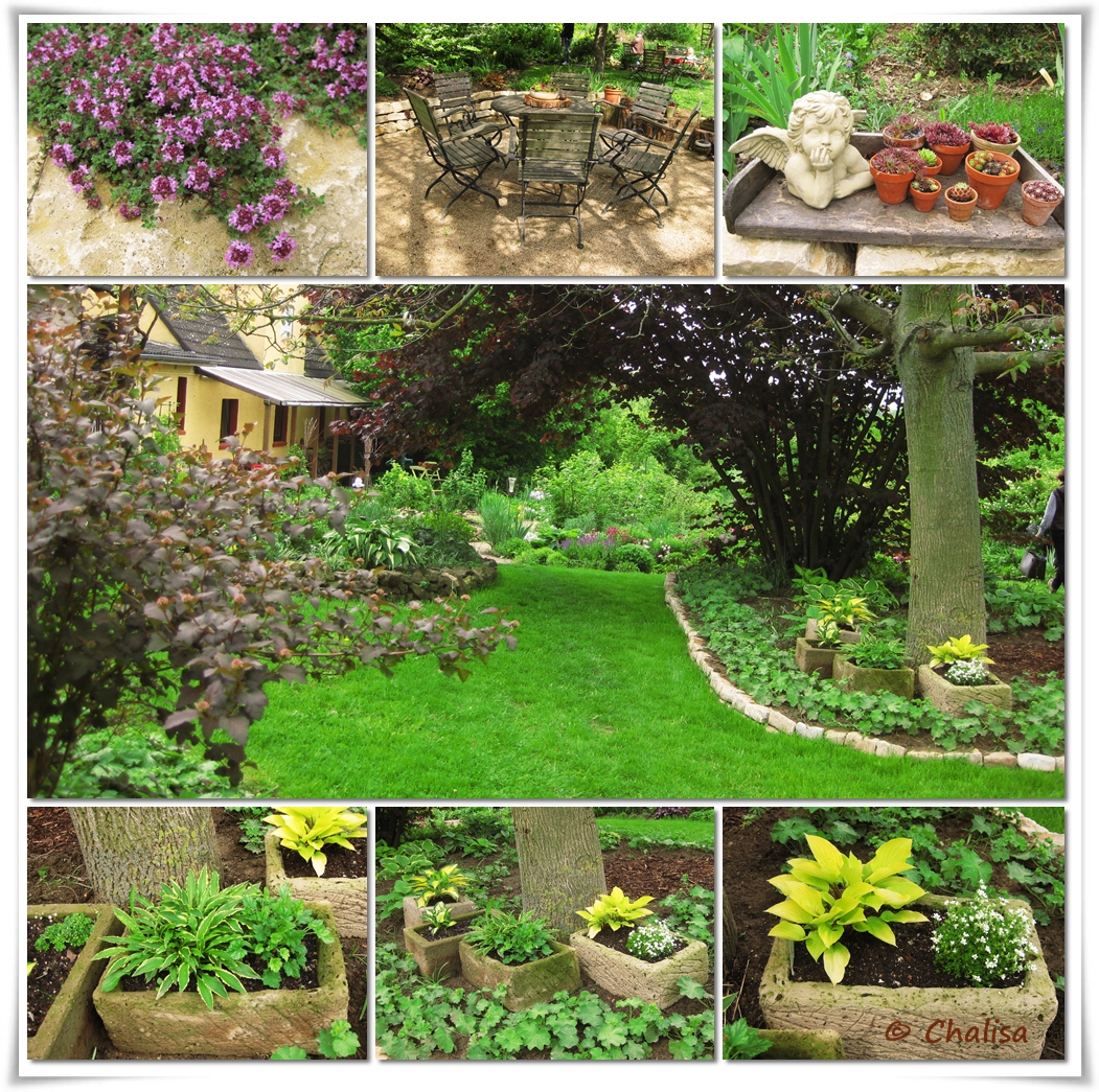 Chalisas Klostergärtchen: Offene Gärten in Rheinhessen - Mai 2012